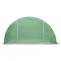 Invernadero 24 m² 6x4x2 m de vidaXL, Invernaderos - Ref: Foro24-48161, Precio: 401,59 €, Descuento: %