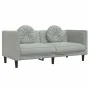 Sofagarnitur mit Kissen, 2-teilig, hellgrauer Samt von , Sofas - Ref: Foro24-3209257, Preis: 437,44 €, Rabatt: %