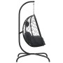 Silla colgante huevo con cojín acero ratán sintético antracita de , Balancines de jardín - Ref: Foro24-360045, Precio: 213,34...