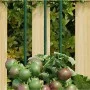 Gartenpflanzenpfähle 30 Stück grüner Stahl 90 cm von , Spaliere und Pflanzenstützen - Ref: Foro24-319368, Preis: 36,68 €, Rab...