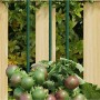 Gartenpflanzenpfähle 30 Stück grüner Stahl 90 cm von , Spaliere und Pflanzenstützen - Ref: Foro24-319368, Preis: 37,62 €, Rab...