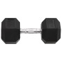 Mancuerna hierro fundido 17,5 kg de , Peso libre - Ref: Foro24-93607, Precio: 77,19 €, Descuento: %