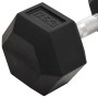 Mancuerna hierro fundido 17,5 kg de , Peso libre - Ref: Foro24-93607, Precio: 77,19 €, Descuento: %