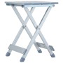 Taburete de camping de 28x26x39 cm de vidaXL, Mobiliario de camping - Ref: Foro24-48184, Precio: 55,71 €, Descuento: %