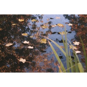 Ubbink PE-Teichabdecknetz 3x2 m von , Zubehör für Teiche und Brunnen - Ref: Foro24-447538, Preis: 13,23 €, Rabatt: %