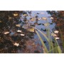 Ubbink PE-Teichabdecknetz 3x2 m von , Zubehör für Teiche und Brunnen - Ref: Foro24-447538, Preis: 13,23 €, Rabatt: %