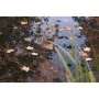Ubbink Red cubierta de estanque PE 3x2 m de , Accesorios para estanques y fuentes - Ref: Foro24-447538, Precio: 13,24 €, Desc...