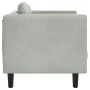 Sillón con cojín terciopelo gris claro de , Sofás - Ref: Foro24-372622, Precio: 136,83 €, Descuento: %