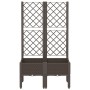 Pflanzgefäß mit braunem PP-Gitter 80x40x142 cm von , Töpfe und Pflanzgefäße - Ref: Foro24-367925, Preis: 81,87 €, Rabatt: %