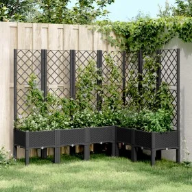 Planter with black PP trellis 160x120x142 cm by , Pots and planters - Ref: Foro24-367938, Price: 200,36 €, Discount: %