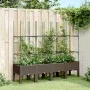 Pflanzgefäß mit braunem PP-Gitter 160x40x142,5 cm von , Töpfe und Pflanzgefäße - Ref: Foro24-367965, Preis: 86,58 €, Rabatt: %