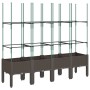 Jardinera con enrejado PP marrón 160x40x142,5 cm de , Maceteros y jardineras - Ref: Foro24-367965, Precio: 87,88 €