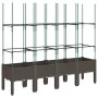 Pflanzgefäß mit braunem PP-Gitter 160x40x142,5 cm von , Töpfe und Pflanzgefäße - Ref: Foro24-367965, Preis: 86,58 €, Rabatt: %