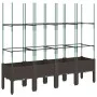 Pflanzgefäß mit braunem PP-Gitter 160x40x142,5 cm von , Töpfe und Pflanzgefäße - Ref: Foro24-367965, Preis: 86,58 €, Rabatt: %