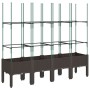 Planter with brown PP trellis 160x40x142.5 cm by , Pots and planters - Ref: Foro24-367965, Price: 87,93 €, Discount: %