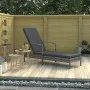 Graue Sonnenliege aus synthetischem Rattan mit Armlehnen von vidaXL, Liegen - Ref: Foro24-48126, Preis: 108,83 €, Rabatt: %