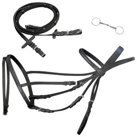 Schwarzes Leder-Flash-Zaumzeug mit Zügeln und Gebiss (Standard) von , Einnicken - Ref: Foro24-90897, Preis: 43,74 €, Rabatt: %