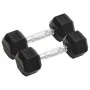 Dumbbells 2 units cast iron 10 kg by , free weight - Ref: Foro24-93601, Price: 51,99 €, Discount: %