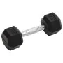Dumbbells 2 units cast iron 10 kg by , free weight - Ref: Foro24-93601, Price: 51,99 €, Discount: %