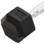 Dumbbells 2 units cast iron 10 kg by , free weight - Ref: Foro24-93601, Price: 51,99 €, Discount: %