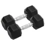 Hanteln 2 Einheiten Gusseisen 16 kg von , freies Gewicht - Ref: Foro24-93603, Preis: 75,58 €, Rabatt: %