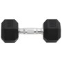 Dumbbells 2 units cast iron 16 kg by , free weight - Ref: Foro24-93603, Price: 84,13 €, Discount: %