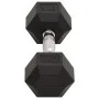 Hanteln 2 Einheiten Gusseisen 16 kg von , freies Gewicht - Ref: Foro24-93603, Preis: 75,58 €, Rabatt: %