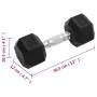Hanteln 2 Einheiten Gusseisen 16 kg von , freies Gewicht - Ref: Foro24-93603, Preis: 75,58 €, Rabatt: %