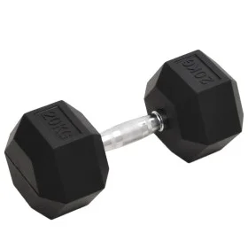 Gusseisenhantel 20 kg von , freies Gewicht - Ref: Foro24-93608, Preis: 83,21 €, Rabatt: %
