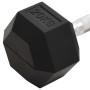 Cast iron dumbbell 20 kg by , free weight - Ref: Foro24-93608, Price: 84,76 €, Discount: %