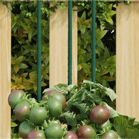 Gartenpflanzenpfähle 30 Stück grüner Stahl 60 cm von , Spaliere und Pflanzenstützen - Ref: Foro24-319367, Preis: 29,04 €, Rab...