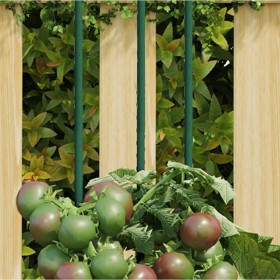 Tutores para plantas de jardín 30 unidades acero verde 60 cm