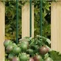 Gartenpflanzenpfähle 30 Stück grüner Stahl 60 cm von , Spaliere und Pflanzenstützen - Ref: Foro24-319367, Preis: 28,30 €, Rab...