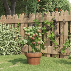 Soportes plantas jardín con 3 anillas 5 uds acero verde 60 cm