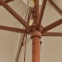 Garden umbrella with taupe gray wooden pole 299x240 cm by , Umbrellas - Ref: Foro24-363170, Price: 86,53 €, Discount: %