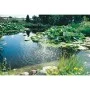 Ubbink Material natural pond filter ZeoLith 10-20mm 8.5kg/10l by , Accessories for ponds and fountains - Ref: Foro24-447521, ...