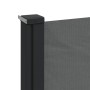 Toldo lateral retráctil gris antracita 140x300 cm de , Sombrillas - Ref: Foro24-4004308, Precio: 81,94 €, Descuento: %