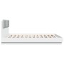 Bettgestell mit Kopfteil und weißen LED-Leuchten 200x200 cm von , Betten und Lattenroste - Ref: Foro24-3209982, Preis: 291,48...