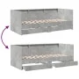 Concrete gray engineered wood lounger with drawers 75x190 cm by , Beds and slatted bases - Ref: Foro24-3280863, Price: 161,89...