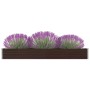 Arriate de jardín de acero galvanizado marrón 320x40x45 cm de vidaXL, Maceteros y jardineras - Ref: Foro24-47054, Precio: 66,...