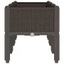 Jardinera con patas PP marrón 120x40x42 cm de , Maceteros y jardineras - Ref: Foro24-367900, Precio: 74,57 €, Descuento: %