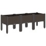 Pflanzgefäß mit braunen PP-Beinen 120x40x42 cm von , Töpfe und Pflanzgefäße - Ref: Foro24-367900, Preis: 74,57 €, Rabatt: %