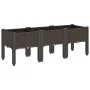 Planter with brown PP legs 120x40x42 cm by , Pots and planters - Ref: Foro24-367900, Price: 74,61 €, Discount: %