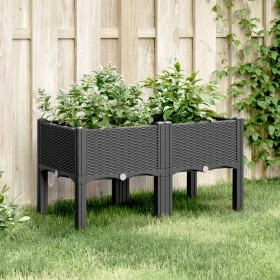Pflanzgefäß mit Beinen PP schwarz 80x40x42 cm von , Töpfe und Pflanzgefäße - Ref: Foro24-367893, Preis: 60,28 €, Rabatt: %