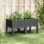 Pflanzgefäß mit Beinen PP schwarz 80x40x42 cm von , Töpfe und Pflanzgefäße - Ref: Foro24-367893, Preis: 60,28 €, Rabatt: %