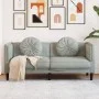 2 seater light gray velvet sofa with cushions by , Sofas - Ref: Foro24-372632, Price: 194,96 €, Discount: %