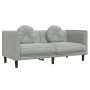2 seater light gray velvet sofa with cushions by , Sofas - Ref: Foro24-372632, Price: 199,23 €, Discount: %
