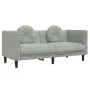 2 seater light gray velvet sofa with cushions by , Sofas - Ref: Foro24-372632, Price: 194,96 €, Discount: %