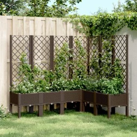 Planter with brown PP trellis 160x120x142 cm by , Pots and planters - Ref: Foro24-367940, Price: 176,88 €, Discount: %