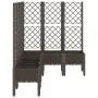 Planter with brown PP trellis 160x120x142 cm by , Pots and planters - Ref: Foro24-367940, Price: 176,88 €, Discount: %